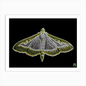 Transparent Butterfly 20180825 19rt5pub Art Print