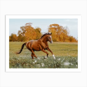 Running Horse Art Print
