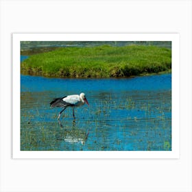 White Stork In Water 20200301 54rt1 2ppub Art Print