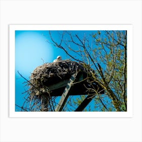 Stork In Nest 20200301 31rt1ppub Art Print