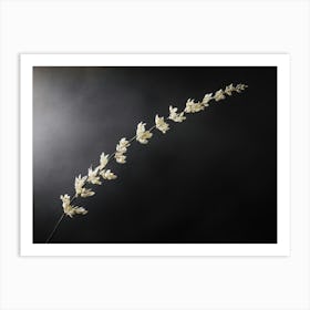 Tall Grass Art Print