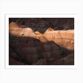 Desert Bighorn Sheep Scenery Art Print