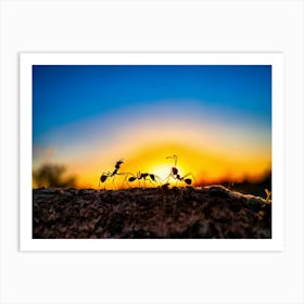 Ant Colony Cooperating Harmoniously Silhouetted Against A Radiant Sunset Amber And Crimson Hues Me (3) Art Print