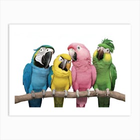 Colorful Parrots 1 Art Print