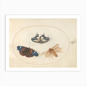 Two Butterflies and a Dragonfly(c. 1575-1580), Joris Hoefnagel Art Print