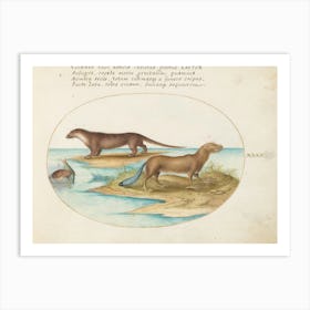 Quadervpedia Animals And Reptiles, Joris Hoefnagel (5) Art Print