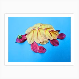 Turtle Art Print