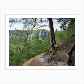Pine trees, green forest and rocks in the Elbe Sandstone Mountains Art Print