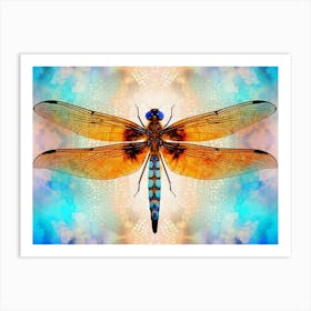 Dragonfly Common Baskettail Epitheca 5 Art Print