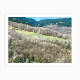 Aerial View Of A Forest 20230416110778pub Art Print