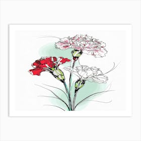 Carnations 1 Art Print