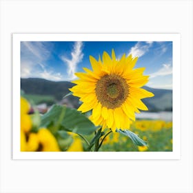 Sunflower In The Field Art Print