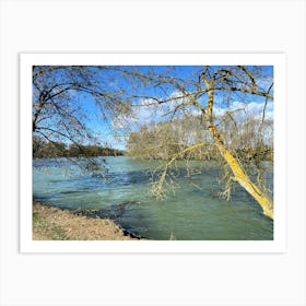 scenic view of the lake Art Print