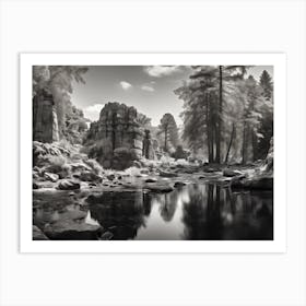 Infrared Photography Art Print