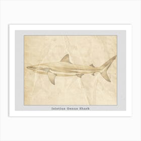 Isistius Genus Shark Silhouette 2 Poster Art Print