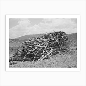 Wood Supply Of Spanish American Farmer, Amalia, New Mexico By Russell Lee Art Print