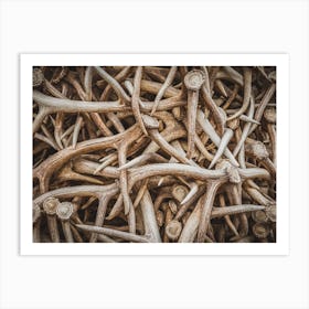 Elk Antler Pile Art Print