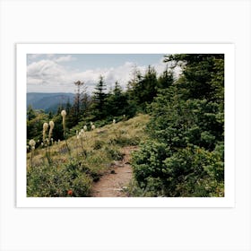 Happy Trails IV Art Print