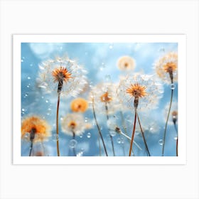 Dandelion 32 Art Print