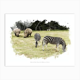 Werribee Open Range Zoo, Melbourne, Victoria Art Print