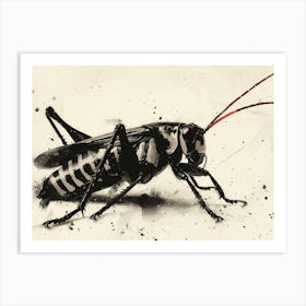 Calligraphic Wonders: Black And White Grasshopper Art Print