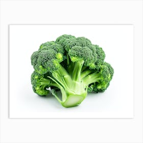 Broccoli Isolated On White Background Art Print