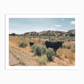 Black Cows Along Road Art Print