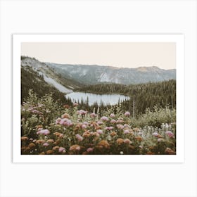 Alpine Lake Wildflowers Art Print