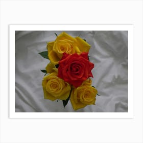 4roses 104657 Affiche