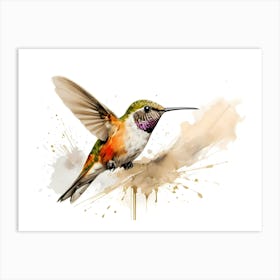 Kolibri Hummingbird - Water Color Painting 7 Art Print