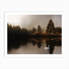 Swan Lake 2 Art Print