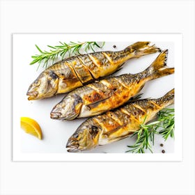 Grilled Fish On White Background 5 Art Print