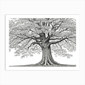 maple tree pencil sketch ultra detailed 8 Art Print