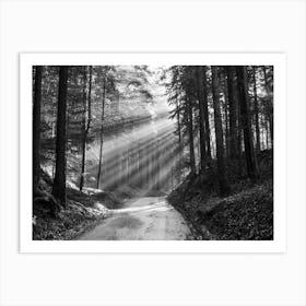 Sunrays In Forest Art Print