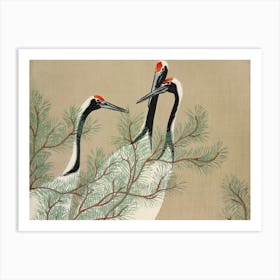 Cranes From Momoyogusa Flowers Of A Hundred Generations (1909), Kamisaka Sekka Art Print