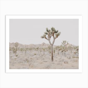 Desert Scenery Art Print