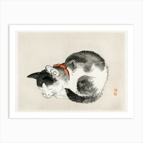 Sleeping Cat, Kōno Bairei Art Print