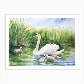 Swan Family 4 Art Print