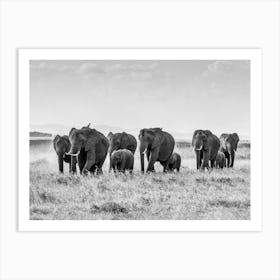 African Elephant Herd Art Print