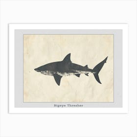 Bigeye Thresher Shark Grey Silhouette 3 Poster Art Print