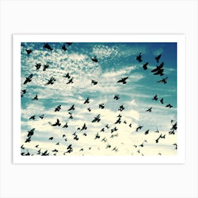 Flying Birds - Blue Sky - Photography Art Print