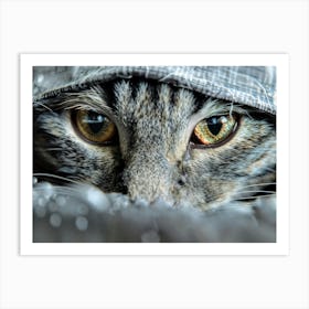 Cat hiding in the shadows Art Print