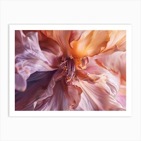 Hibiscus 3 Art Print