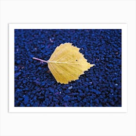 Autumn Leaf 1 Art Print