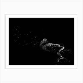 Black And White Duck Floating In The Reflection Of Stars In The Water Art Print