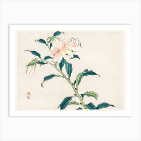 Lily, Kōno Bairei Art Print