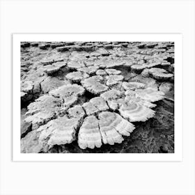 Salt In The Danakil Depression In Ethiopia In Africa Art Print