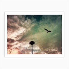 Picture Of Freedom Art Print