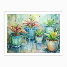 Potted Plants In Rain Art Print