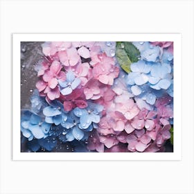 Hydrangeas 27 Art Print